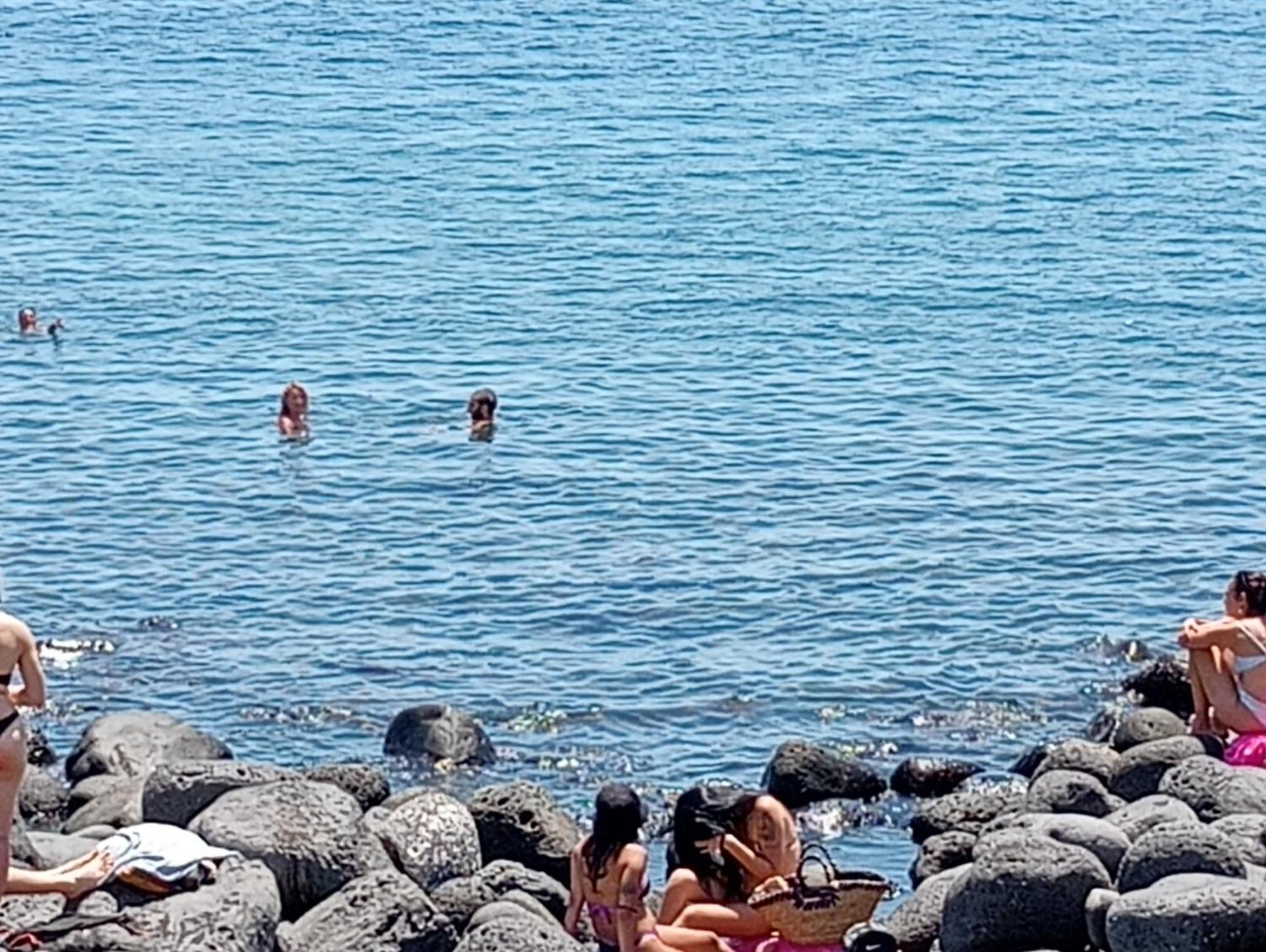 Mamis Βίλα Κατάνια Εξωτερικό φωτογραφία